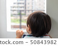 Child looking out the window 50843982