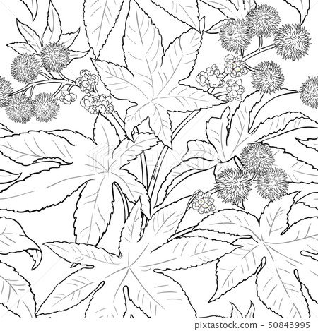 castor vector pattern 50843995