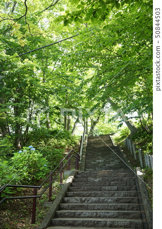 The stairs The stairs 50844503