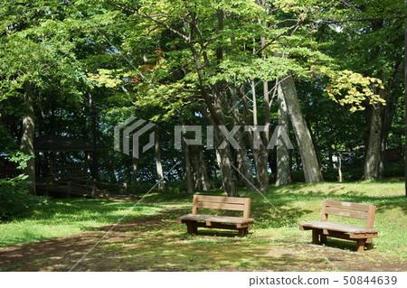 Bench 50844639