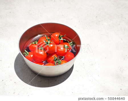 Petit tomato mini tomato soaked in water 50844640