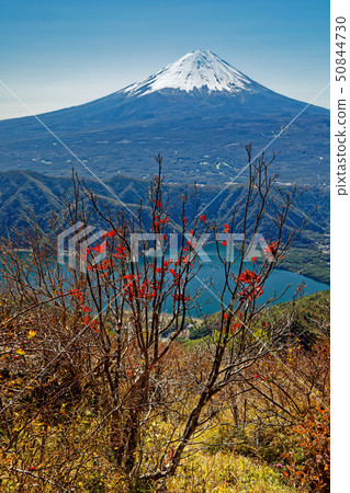 從富士山看到的富士山和西湖 50844730