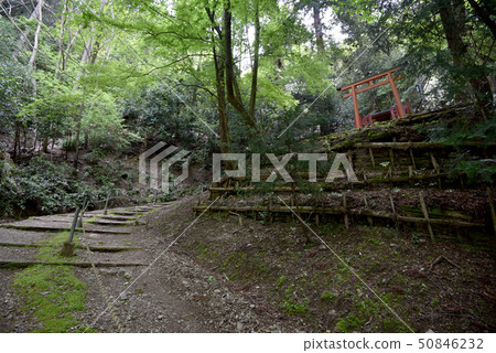 Kamijima Samurai 50846232