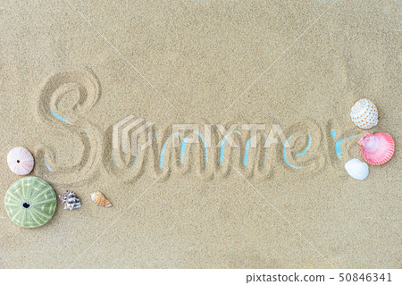 Top view of Beach sand with shells. summer Top view of Beach sand with shells. summer 50846341