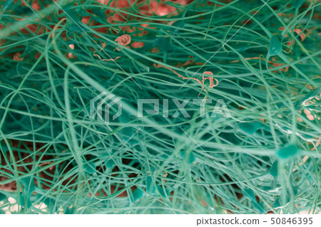 a macro, abstract, background picture, wavy, twisted, curved shapes a macro, abstract, background picture, wavy, twisted, curved shapes 50846395