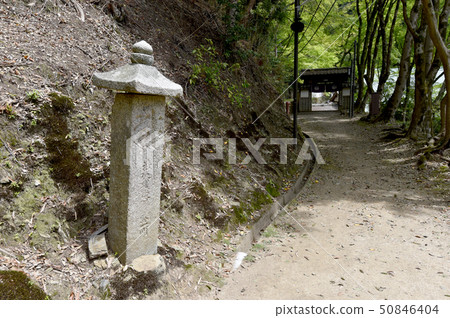 上島接近路標 上島接近路標 50846404