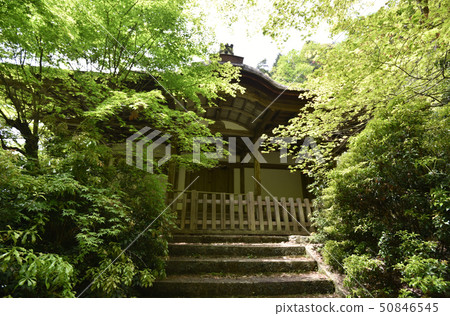 Kamidono Seiryugu神社 50846545