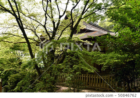 Kamidono Seiryugu Shrine 50846762