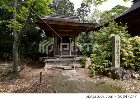 Kamijima Hakusansha 50847277