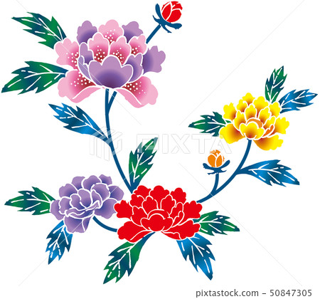 深紅色的牡丹 50847305