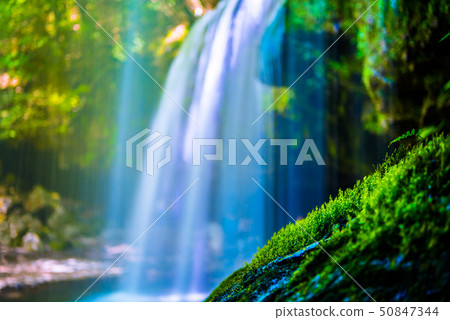 Nabottagaki Kumamoto 50847344