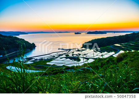 Tanidan水稻梯田日落 50847358