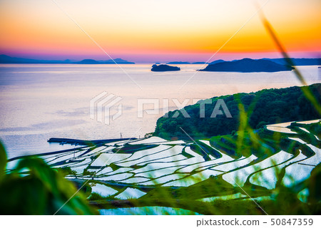 Tanidan水稻梯田日落 50847359