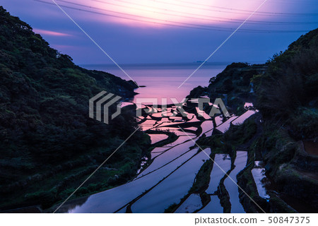 Tanada of Hamanoura Sunset 50847375