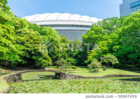 Tokyo Spring Koishikawa Korakuen 50847459