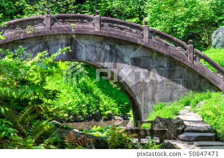 東京春天小石川後樂園 50847471