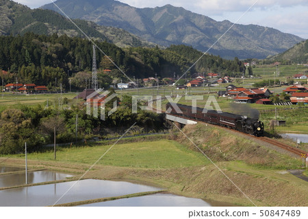 山口SL號蒸氣機車穿梭於山口縣的山巒間 | 蒸氣機車與鄉村風景 50847489