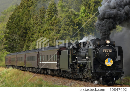 D51 SL 山口號 | 令人印象深刻的蒸汽機車運行中 - 鐵路旅遊資料 50847492
