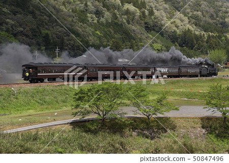 D51 SL 山口型蒸氣機車行駛在山口縣的山巒間 | 蒸氣機車與鄉村風光 D51 SL 山口型蒸氣機車行駛在山口縣的山巒間 | 蒸氣機車與鄉村風光 50847496