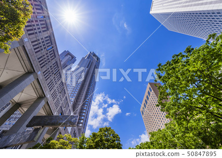 Fresh green Nishi-Shinjuku Tokyo Metropolitan Government building 50847895