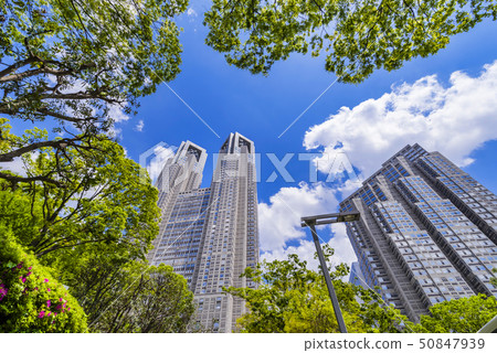 Fresh green Nishi-Shinjuku Tokyo Metropolitan Government building Fresh green Nishi-Shinjuku Tokyo Metropolitan Government building 50847939