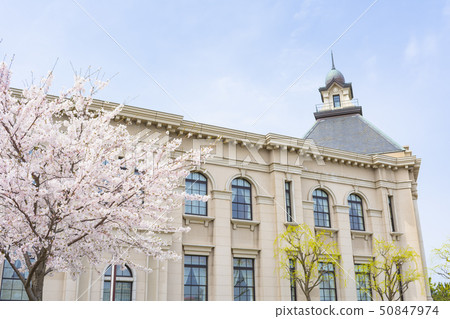 新潟市歷史博物館Minato Pia(春天) 新潟市歷史博物館Minato Pia(春天) 50847974