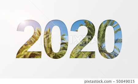 2020 over palm background 50849015