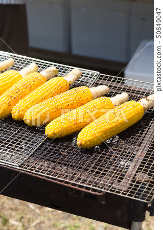 Grilled corn 50849047
