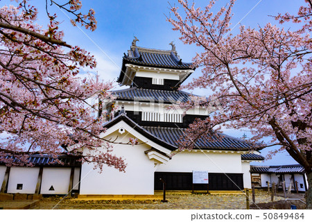 Shirakawa Komine Castle Shirakawa Komine Castle 50849484