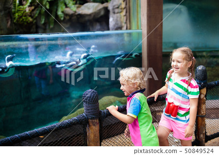 Kids watch penguin at zoo. Child at safari park. 50849524