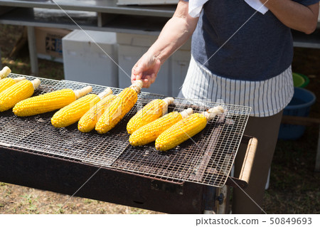 Grilled corn Grilled corn 50849693