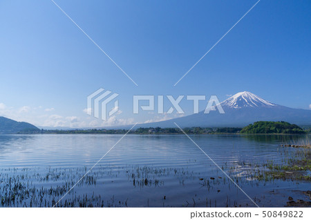 河口湖和富士山 50849822