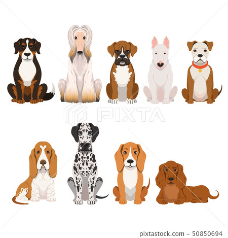 Different breeds of dog. Group of domestic animals in cartoon style. Vector illustrations set 50850694