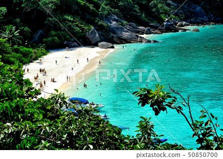 Thai Similan Island 5 50850700