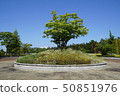 一棵樹在公園裡 50851976