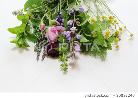 A fragrant bouquet A fragrant bouquet 50852246