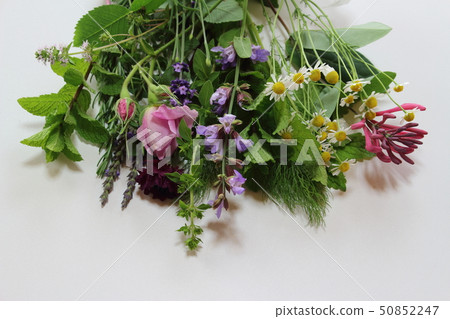 芬芳的花束 芬芳的花束 50852247