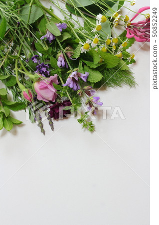 芬芳的花束 50852249