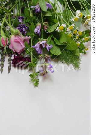 A fragrant bouquet A fragrant bouquet 50852250