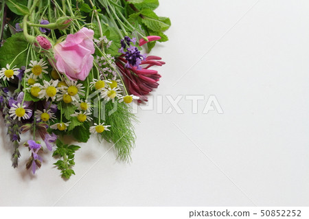 芬芳的花束 50852252