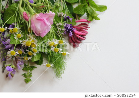 芬芳的花束 50852254