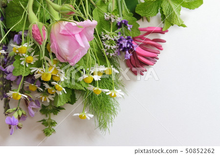 A fragrant bouquet 50852262