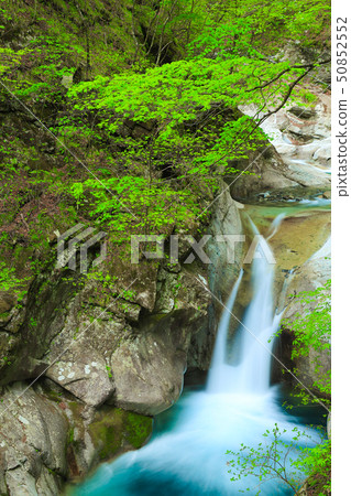 Nishizawa valley spring fountain Nishizawa valley spring fountain 50852552