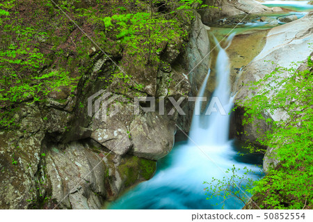 西澤谷泉水噴泉 西澤谷泉水噴泉 50852554