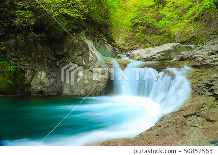 Nishizawa Valley 50852563