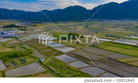 農村風景龜岡 50852641