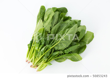 spinach  50853243