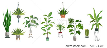 Pot plant set. Plants plastic decorative container and hanging styling indoor basket for potting Pot plant set. Plants plastic decorative container and hanging styling indoor basket for potting 50853305
