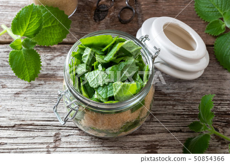Preparation of a silver spurflower syrup 50854366