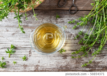 A cup of herbal tea with fresh bedstraw, top view A cup of herbal tea with fresh bedstraw, top view 50854371